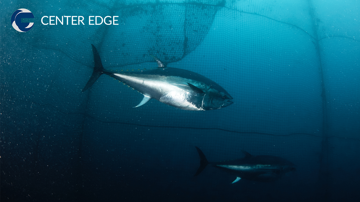 水産業のDX活用とは?最新事例と導入のメリット・デメリット│DXメディア(センターエッジ)